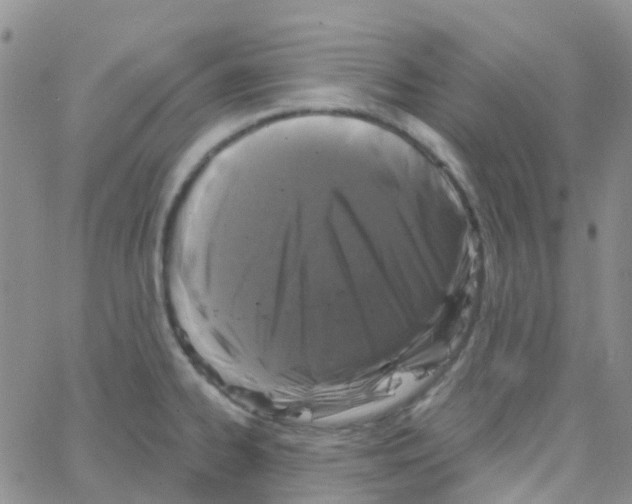 X0000064741334200603131309