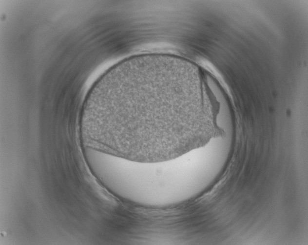 X0000064741336200603131309