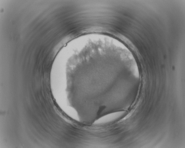 X0000064741337200603131309