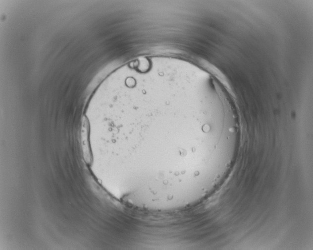 X0000064741338200603131309