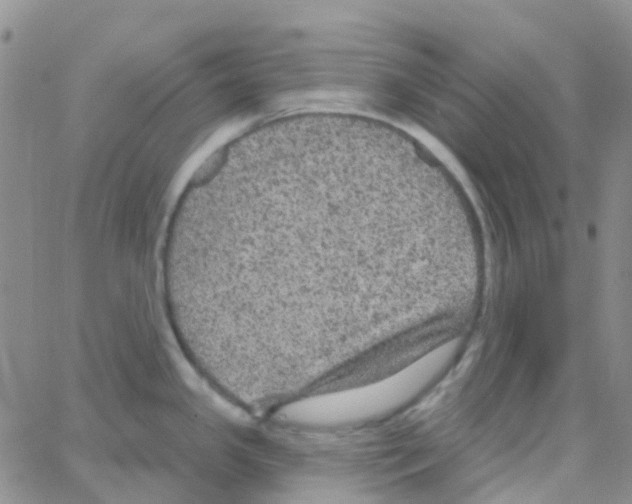 X0000064741341200603131309