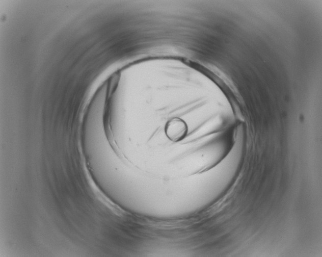 X0000064741342200603131309