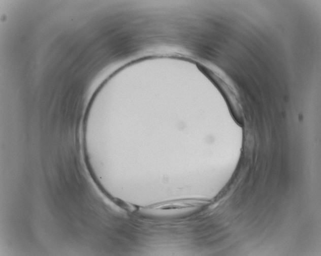 X0000064741343200603131309