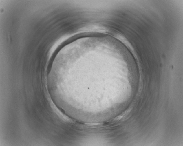 X0000064741344200603131309