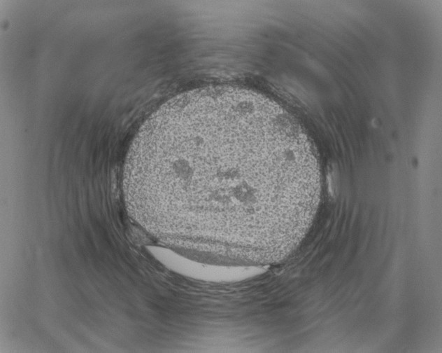 X0000064741347200603131308