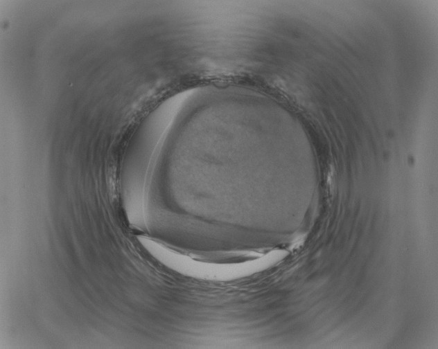 X0000064741348200603131308