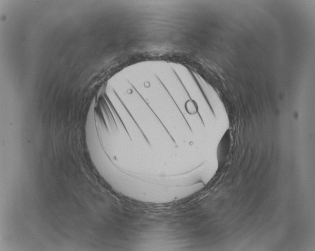 X0000064741349200603131308