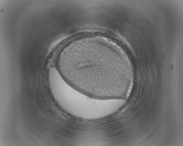 X0000064741352200603131308