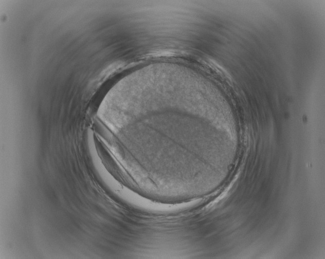 X0000064741353200603131308