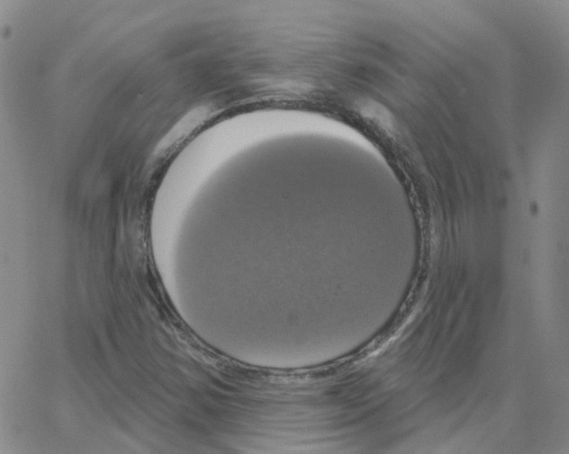 X0000064741354200603131308