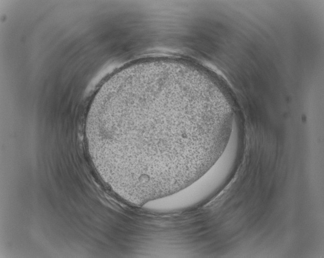 X0000064741355200603131308