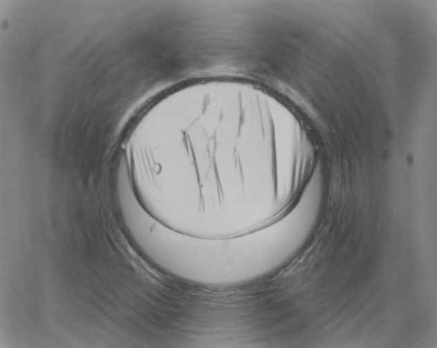 X0000064741356200603131308