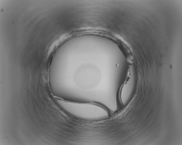 X0000064741357200603131308