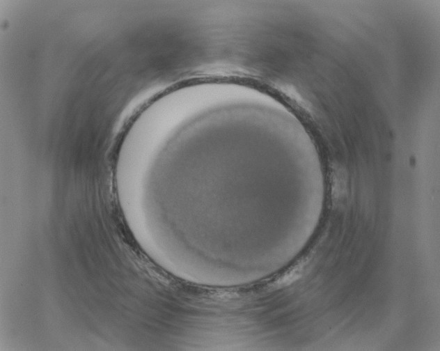 X0000064741358200603131308