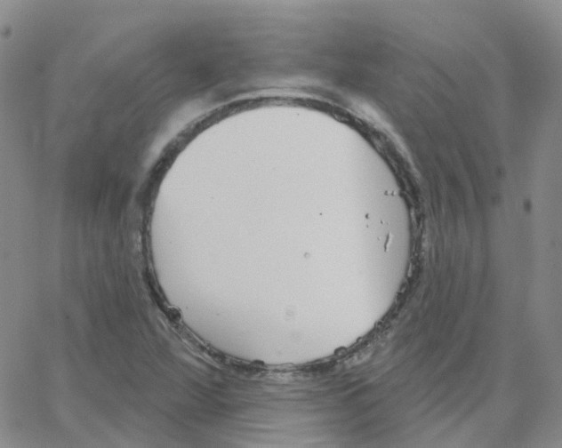 X0000064741360200603131308