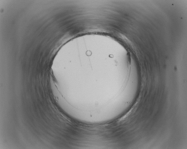 X0000064741361200603131308