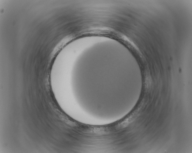 X0000064741362200603131308