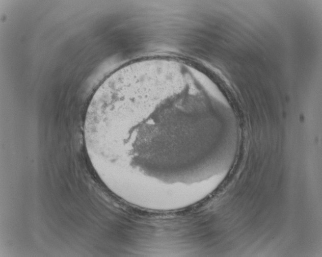 X0000064741363200603131308