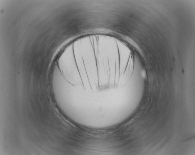 X0000064741364200603131308