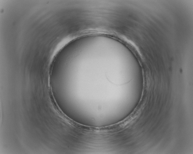 X0000064741365200603131308