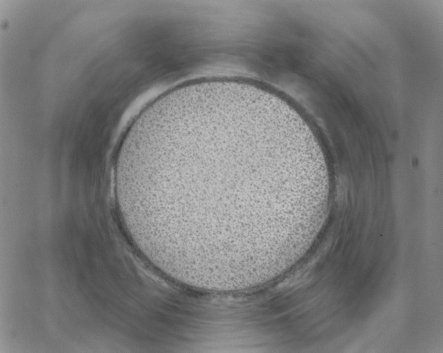 X0000064741366200603131308