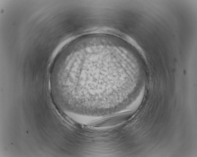 X0000064741368200603131308