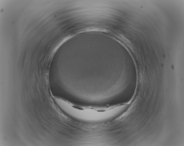 X0000064741369200603131308