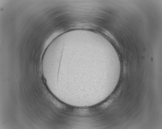 X0000064741370200603131308