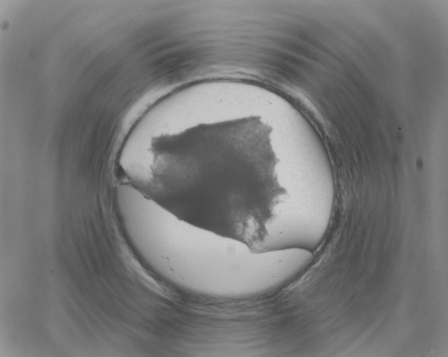 X0000064741371200603131308