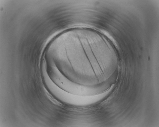 X0000064741372200603131308