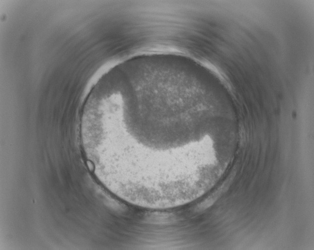 X0000064741374200603131307