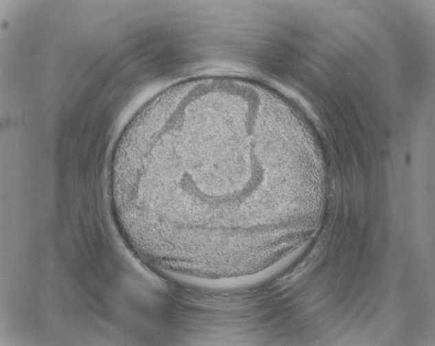 X0000064741375200603131307