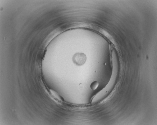 X0000064741377200603131307