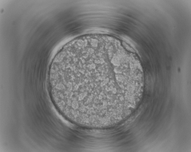 X0000064741379200603131307