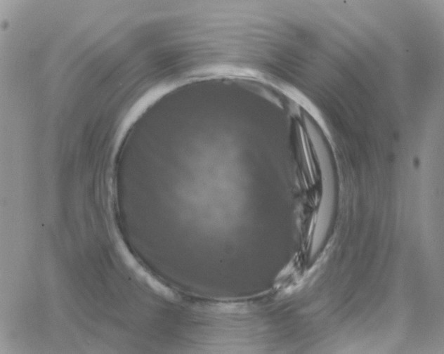 X0000064741381200603131307