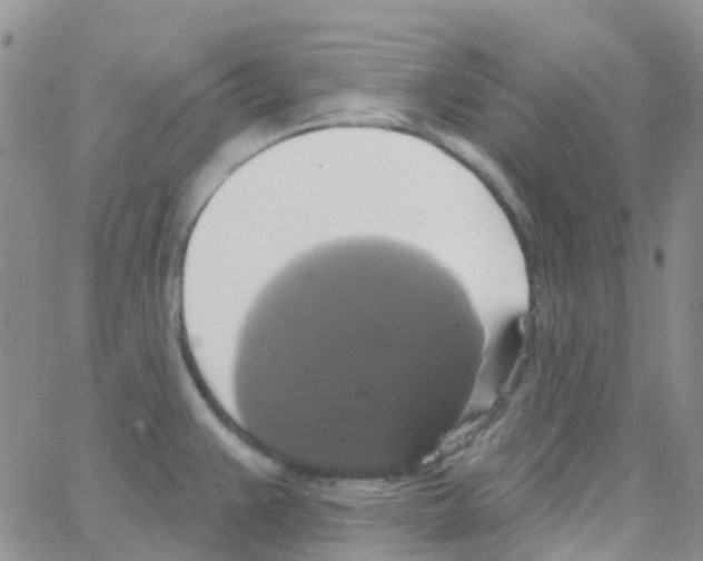 X0000064741383200603131307