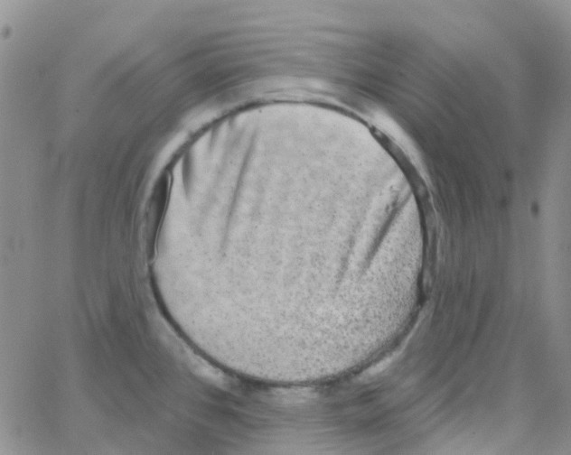 X0000064741384200603131307