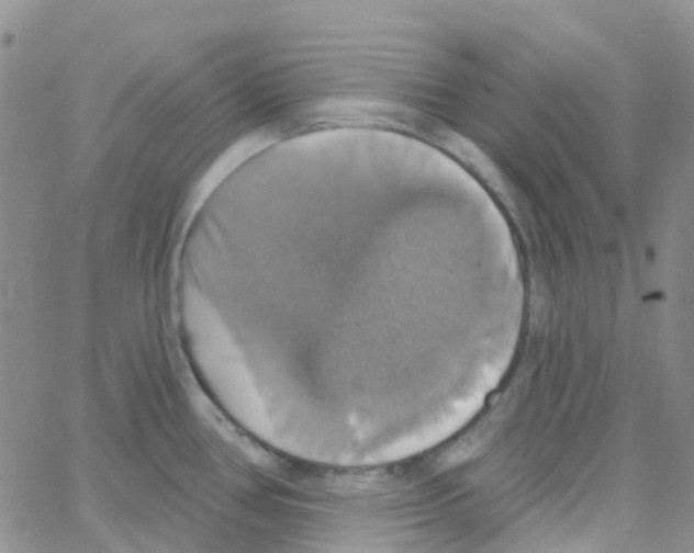 X0000064741386200603131307