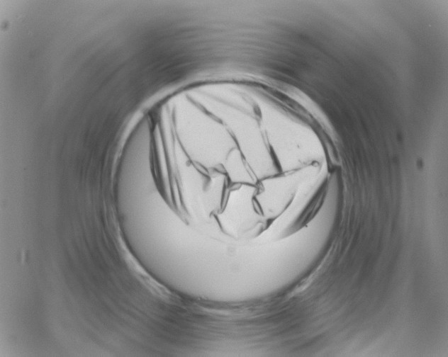 X0000064741388200603131307