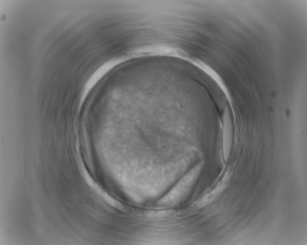 X0000064741389200603131307