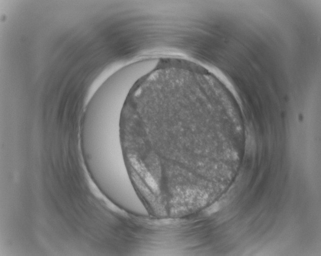 X0000064741390200603131307