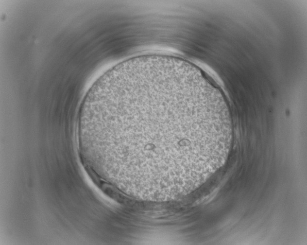 X0000064741391200603131307