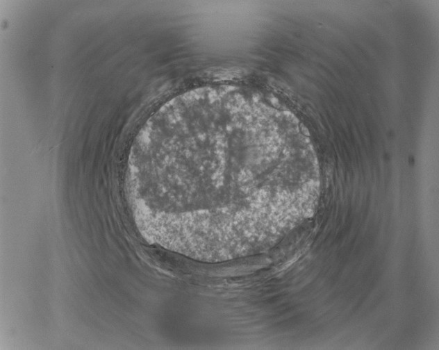 X0000064741393200603131306