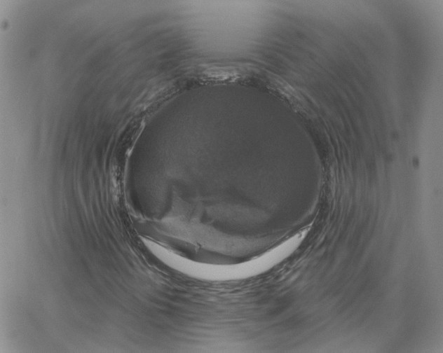 X0000064741394200603131306