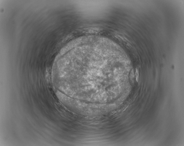 X0000064741395200603131306