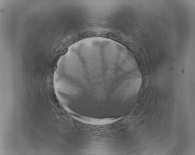 X0000064741397200603131306