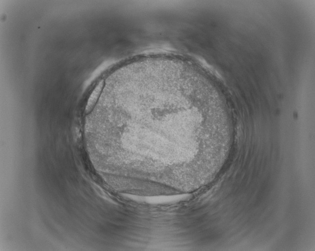 X0000064741400200603131307