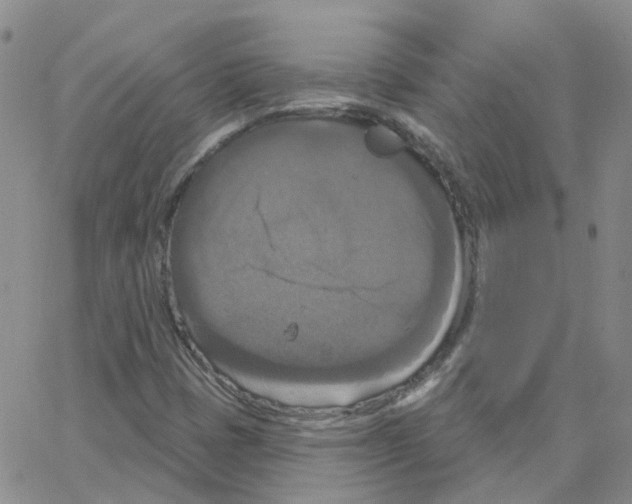 X0000064741401200603131307