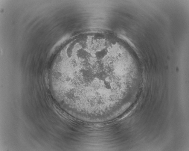 X0000064741403200603131307