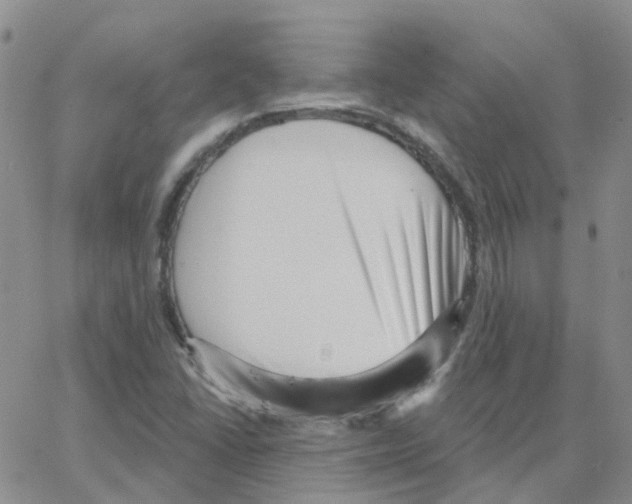 X0000064741406200603131307